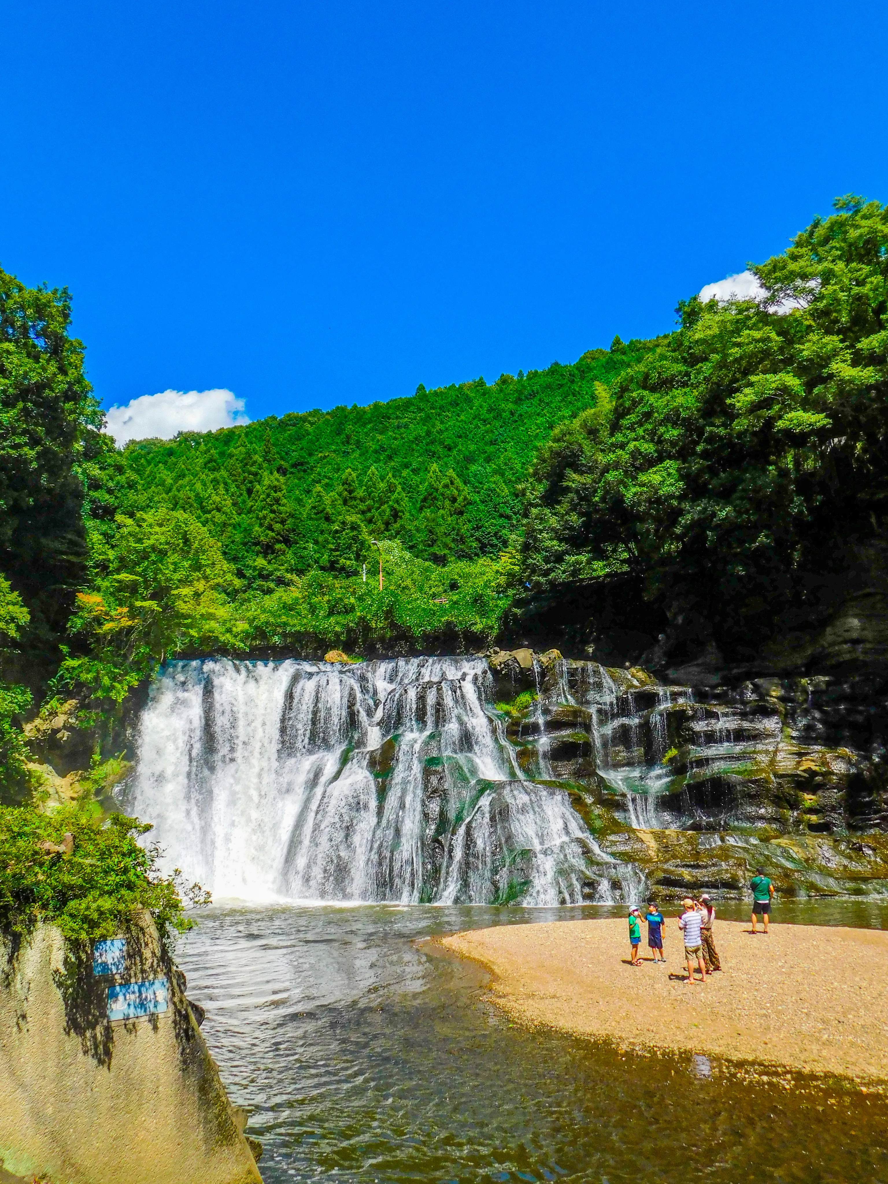 夏